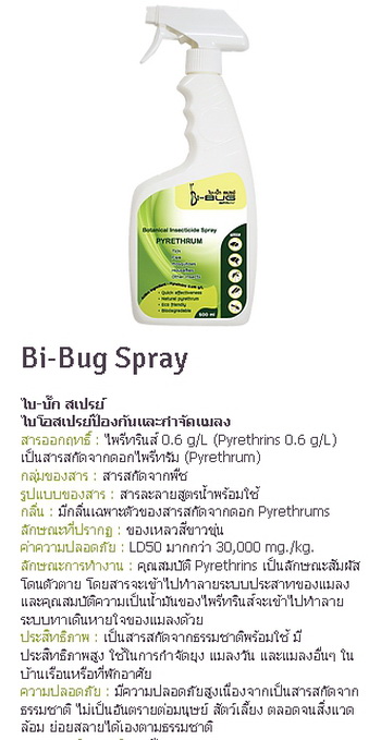 Bi-Bug Spray  -    ʡѴҡҵ - ᡹Ԥ ѺͧѹСӨѴŧ ٵ ͧѹСӨѴا ŧѹ  Ѵ ŧ